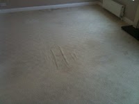 AJM ELITE   CARPET CLEANING and WINDOW CLEANING 359498 Image 1